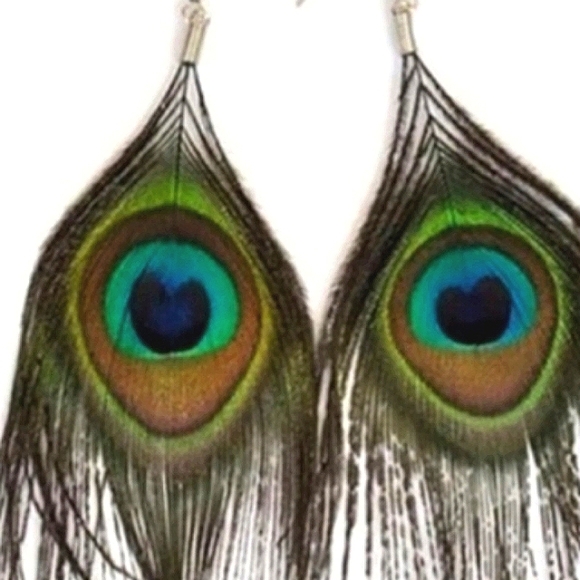 Peacock Feather Earrings on pierced hypoallergenic ss Ear wires. 1 pr Be… - Picture 9 of 10
